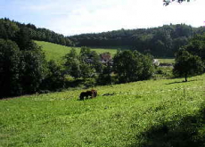 a_P1010001.jpg